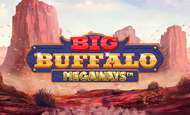 Big Buffalo Megaways