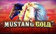 Mustang Gold