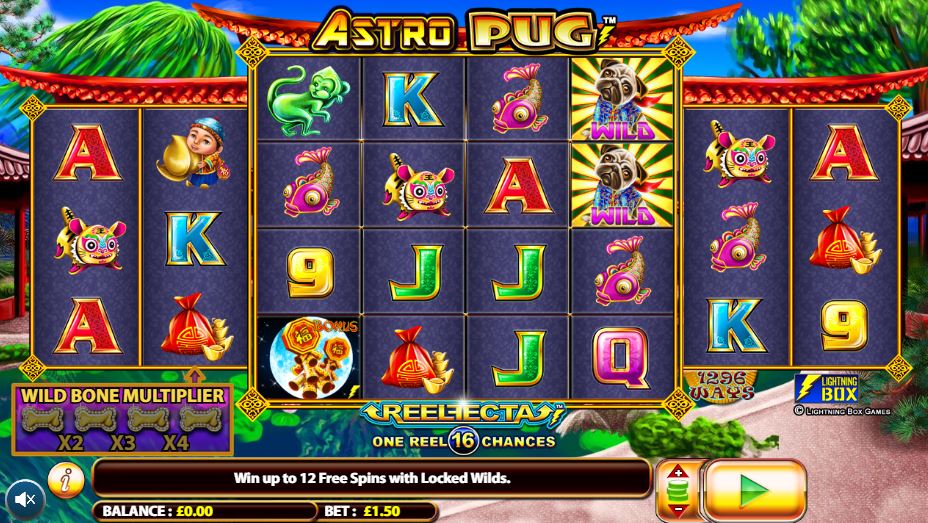 Astro Pug Slot